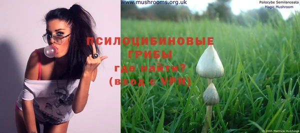 PSILOCYBIN Заволжье