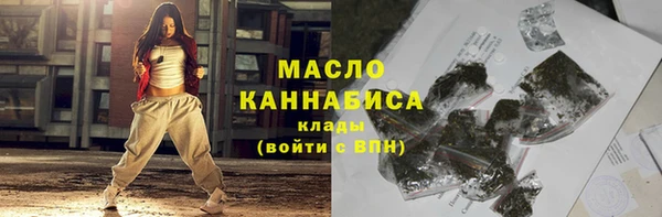 дмт Заводоуковск