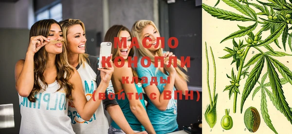 дмт Заводоуковск