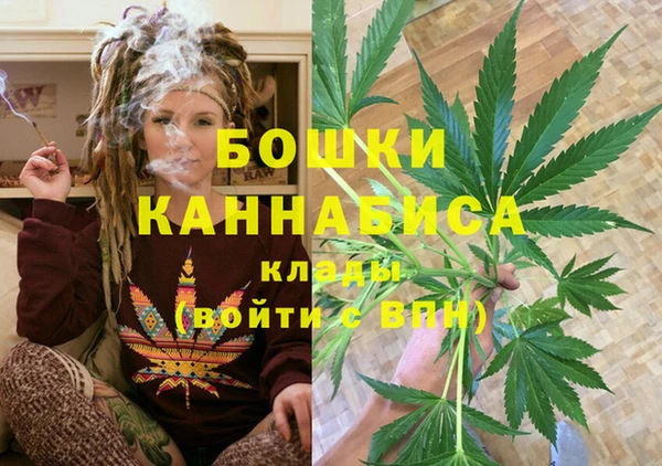дмт Заводоуковск