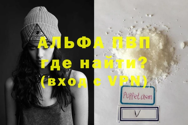 стафф Заволжск
