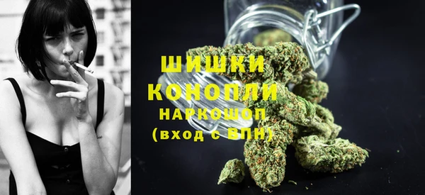 PSILOCYBIN Заволжье