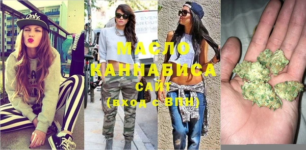 дмт Заводоуковск