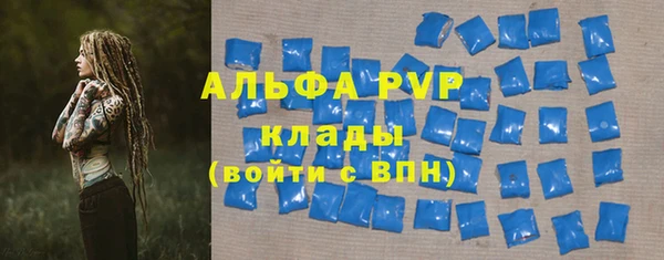 PSILOCYBIN Заволжье