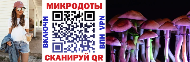 Купить закладки  Заполярный  Псилоцибиновые грибы ЛСД 
