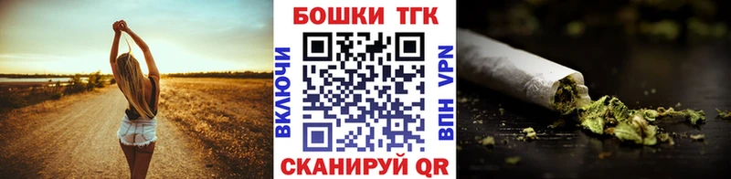 Бошки Шишки семена Заполярный